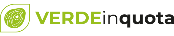 VERDE IN QUOTA - GLOBAL SERVICE SRLS